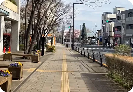 ルート画像3